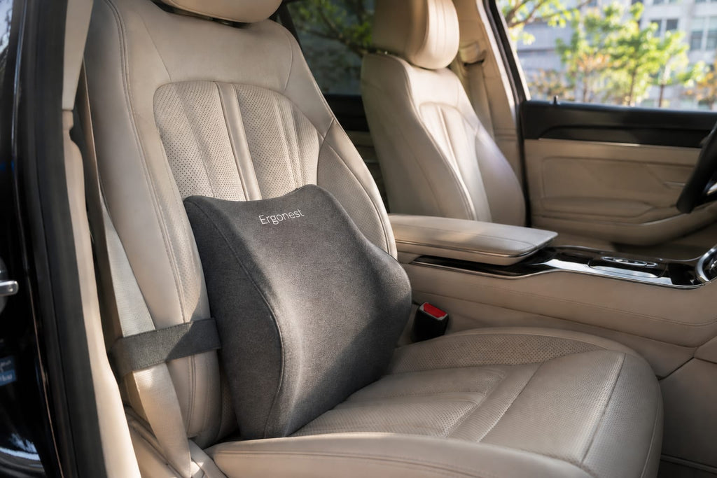Ergonest™ Premium Memory Foam Lumbar Back Support Cushion for Office Chair, Car Seat & Home | Ergonomic Posture Support & Back Pain Relief